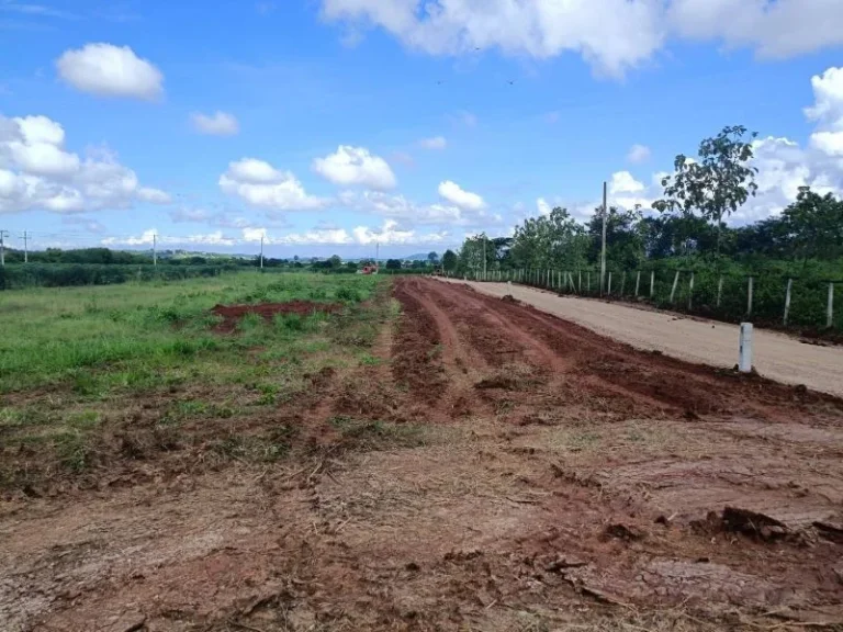 ขายที่ดินเขาใหญ่ 200 ตรว ในโครงการคริสตัลฮิลล์2 วิวเขา