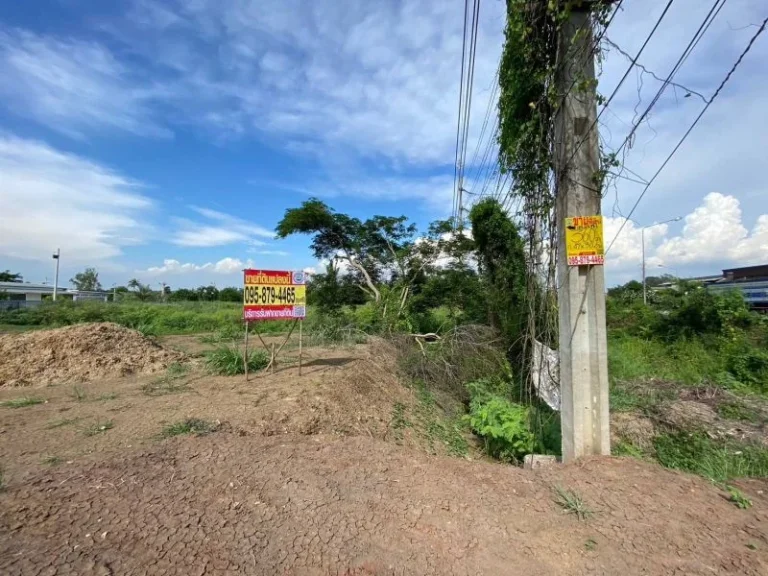 ที่ดิน ติดถนน บางปะหัน - นครหลวง จากถนนสายเอเชีย500 เมตร