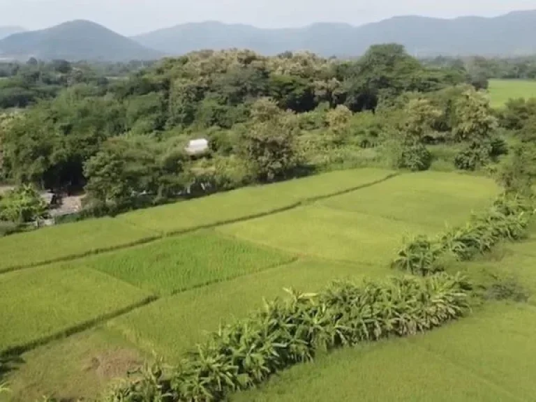 ที่ดินไร่ละไม่เกิน2ล้าน อดอยสะเก็ดเชียงใหม่ ติดทางหลวงชนบท