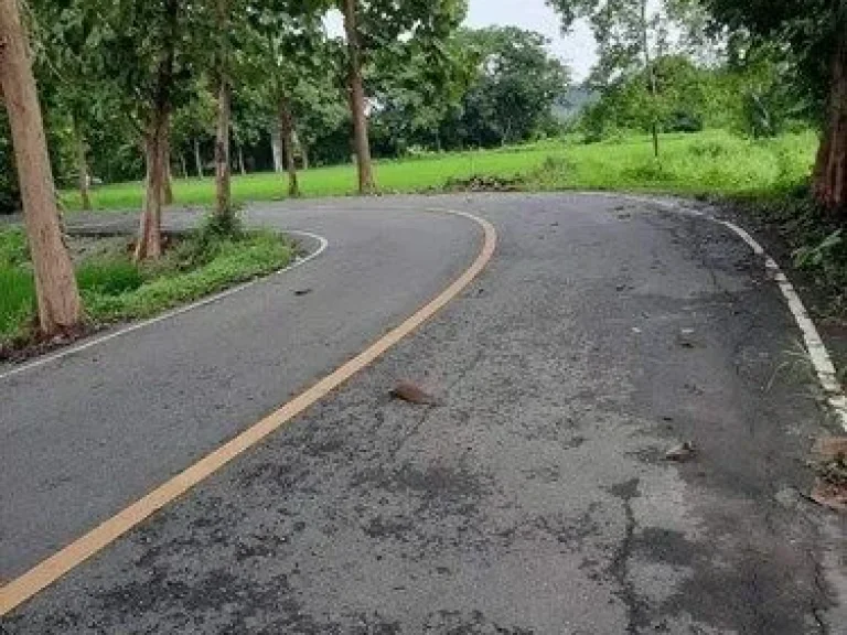 ที่ดินไร่ละไม่เกิน2ล้าน อดอยสะเก็ดเชียงใหม่ ติดทางหลวงชนบท