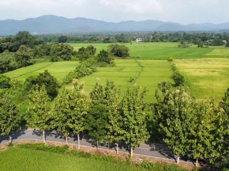 ที่ดินไร่ละไม่เกิน2ล้าน อดอยสะเก็ดเชียงใหม่ ติดทางหลวงชนบท