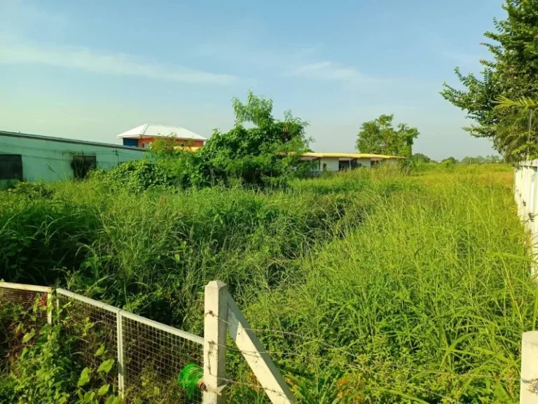 ขายที่ดินเปล่า ถนนรังสิต-ปทุมธานี สวนพริกไทย เมืองปทุมธานี