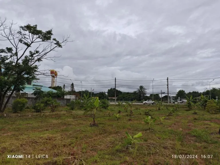 ขายด่วน ที่ดิน8 ไร่ ที่ดินติดถนน วงแวนรอบเมือง จังหวัดอุดร