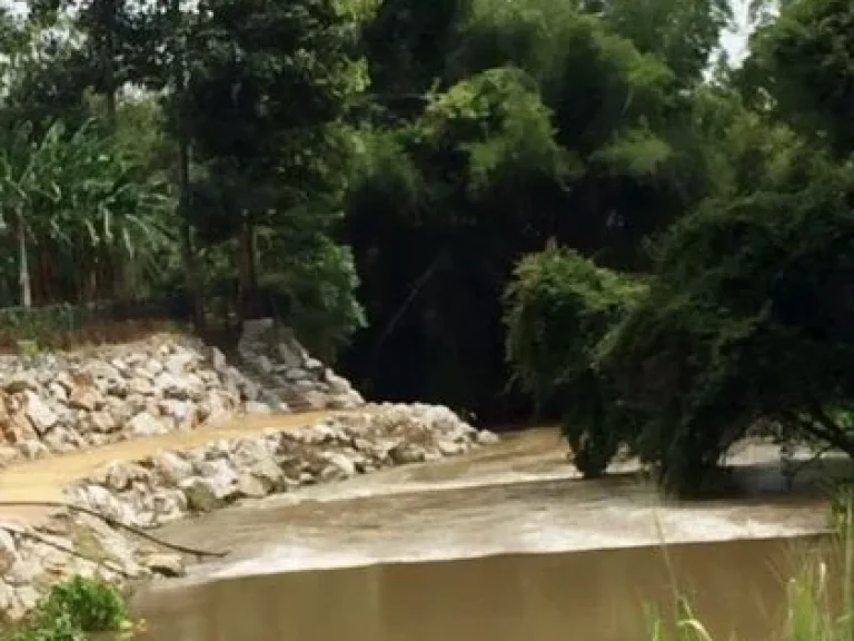 ขายด่วน ที่ดินริมน้ำ ลำตะคอง ทำเลทอง เขาปากช่อง-เขาใหญ่