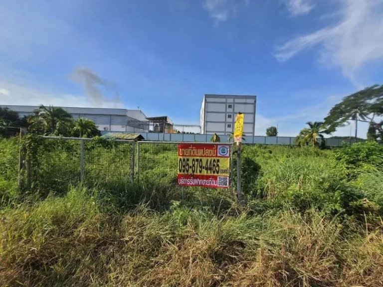 ที่ดินผังสีม่วง ติดถนนคอนกรีต สาธารณูปโภค ครบครัน