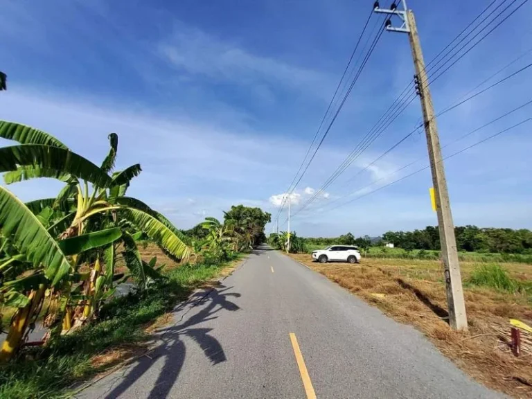 ขายที่ดินคลองแปด 2 ไร่ ติดถนนลาดยางสาธาณะ ถมแล้วเกือบทั้งแปลง