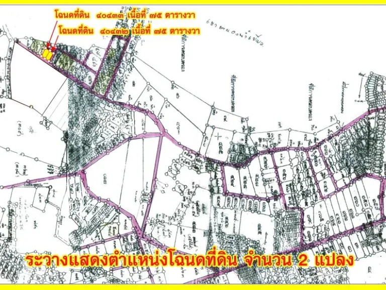 ที่ดินศรีราชา เนินเขาธรรมชาติ ใจกลางเมืองศรีราชา 150ตรว