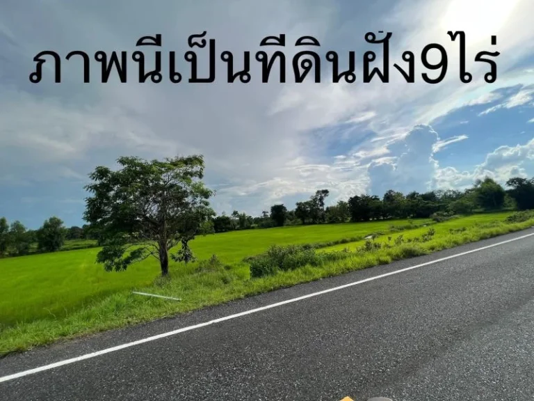 ขายที่ดินติดถนนดำพิกัด บ้านผือบ้านแสงไผ่ อ ม่วงสามสิบ จอุบล