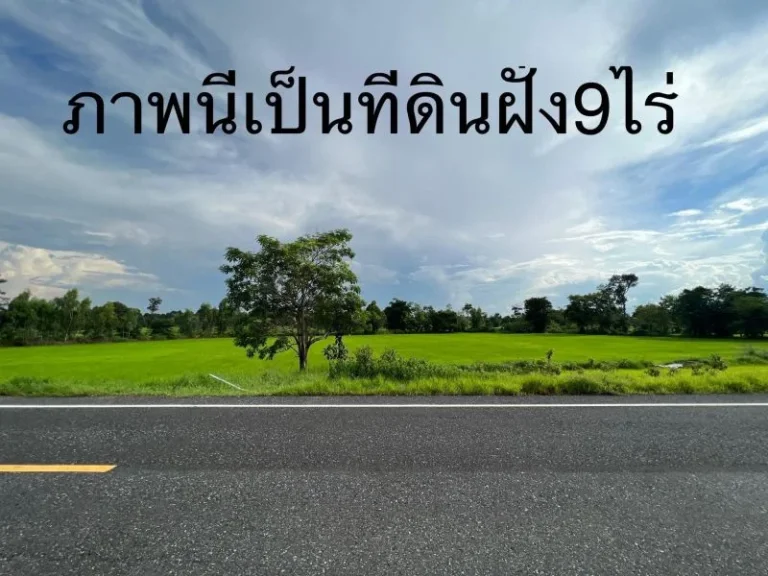 ขายที่ดินติดถนนดำพิกัด บ้านผือบ้านแสงไผ่ อ ม่วงสามสิบ จอุบล