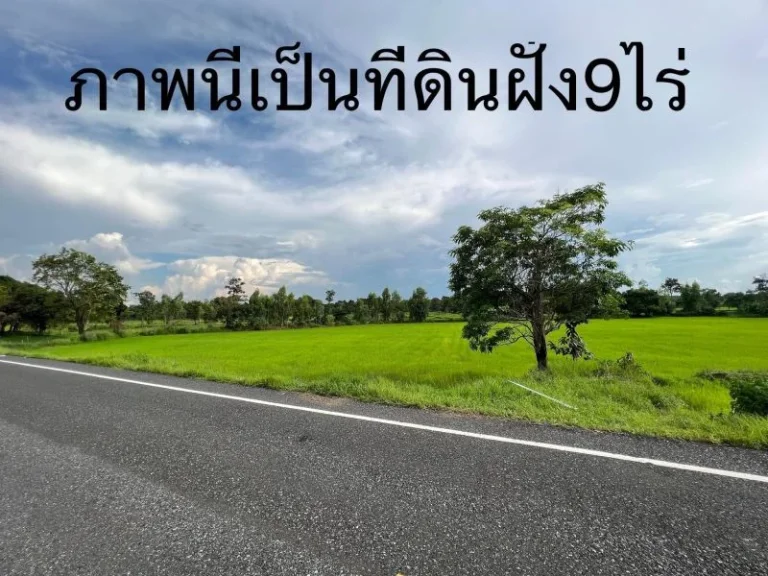 ขายที่ดินติดถนนดำพิกัด บ้านผือบ้านแสงไผ่ อ ม่วงสามสิบ จอุบล