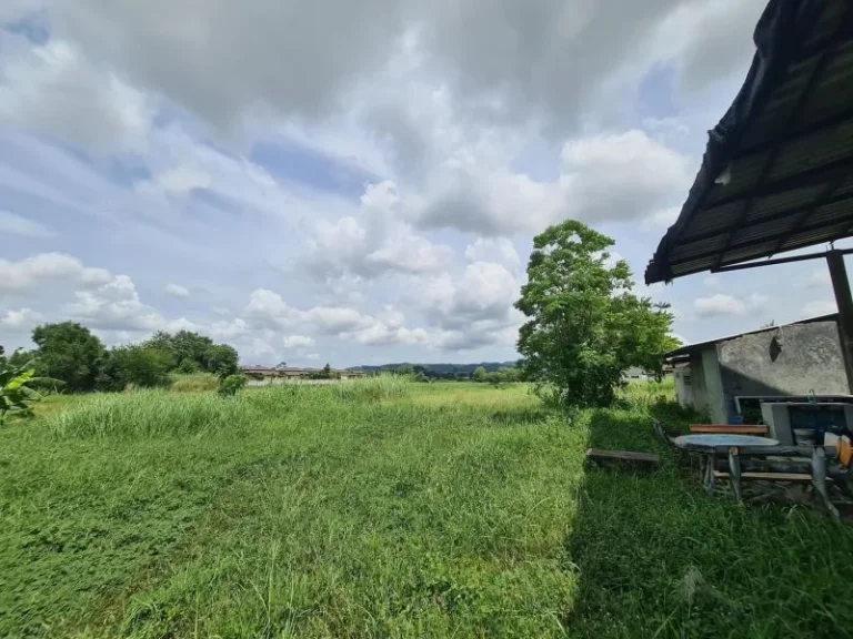 ขายที่ดินสวยใกล้ชายทะเล ตรงข้ามบุญถาวร ตบางเสร่ อสัตหีบ