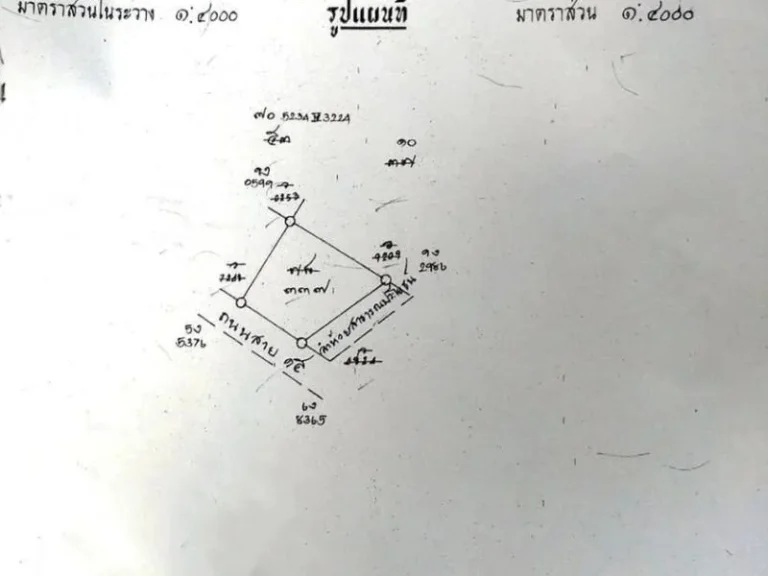 ขายที่ดิน ติดถนนหลักสาย15 อนิคมพัฒนา จระยอง พื้นที่ 3 ไร่ 3