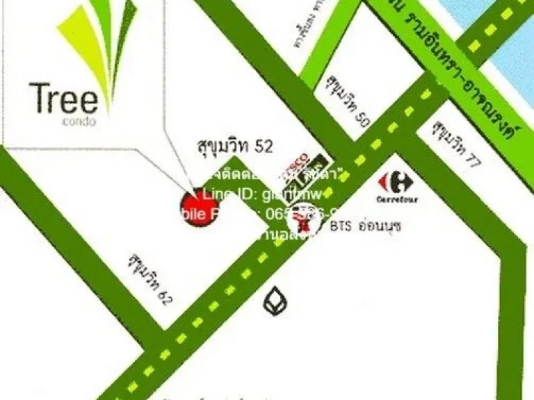 คอนโด Tree Condo Sukhumvit 52 1นอน1BR 17500 บ ใกล้ รถไฟฟ้า