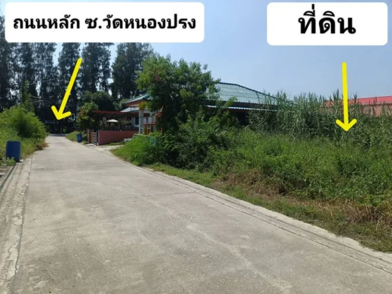 ขายที่ดิน82วา ตบางเดื่อ อเมืองปทุม ใกล้ถนนตัดใหม่ราชพฤกษ์