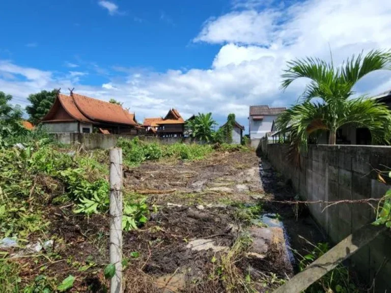 ขายที่ดินตำบลช้างเผือกห่างถนนโชตนาเพียง 400 เมตรพร้อมโอน