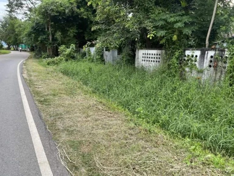 ขายที่ดินตำบลน้ำแพร่หางดงติดถนนล้อมรั้วเรียบร้อยพร้อมโอน