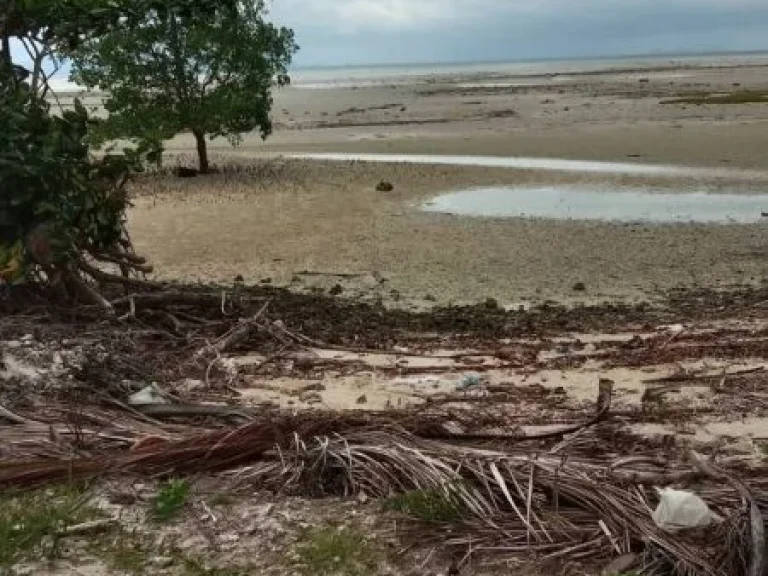 ขายที่ดิน 27ไร่ ติดทะเลเกาะสมุย ตตลิ่งงาม อเกาะสมุย