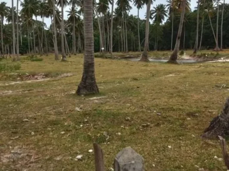 ขายที่ดิน 27ไร่ ติดทะเลเกาะสมุย ตตลิ่งงาม อเกาะสมุย