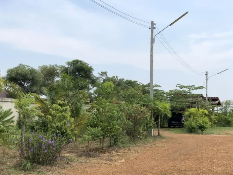 ขายที่ดิน 4 ไร่ พร้อมบ้านสวน ติดถนนหลวง ทล1272