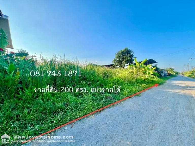 ขายที่ดิน รังสิต-นครนายก คลอง9 เนื้อที่ 200 ตรว ติดเรือนศิลา