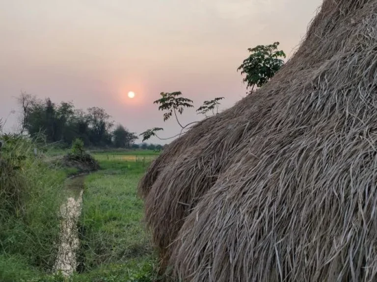 ขายด่วนสวนผสมติดถนนเลียบคลองชลประทาน ตน้ำดิบ อป่าซาง