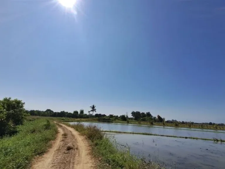 ขายด่วนสวนผสมติดถนนเลียบคลองชลประทาน ตน้ำดิบ อป่าซาง