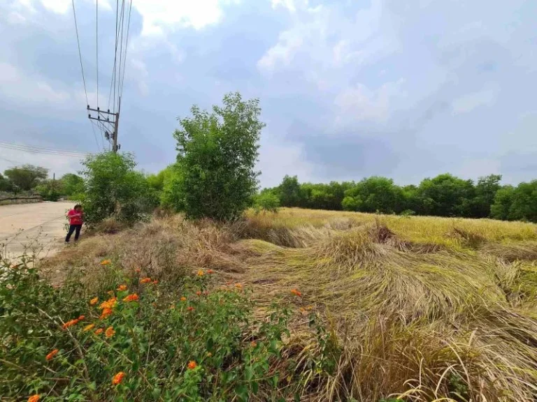 ที่ดินอยุธยา ที่ดินถมแล้ว หน้าติดถนน หลังติดคลอง