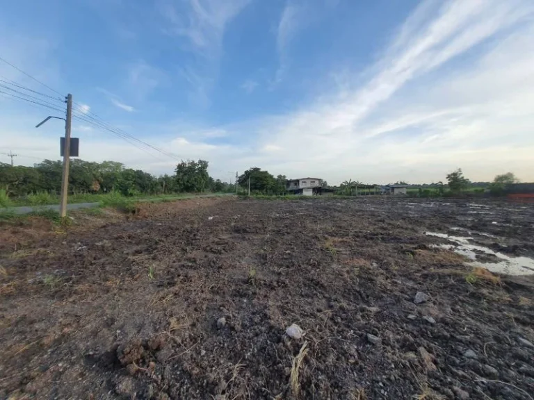 ขายที่ดิน แปลงมุม ติดถนนคอนกรีต หนองเสือ ปทุมธานี