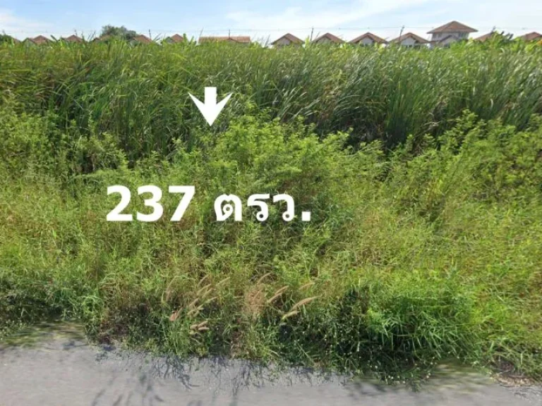 ร่มเกล้า 252 ที่ดิน 237 ตรวเหมาะสำหรับที่อยู่อาศัย สำนักงาน