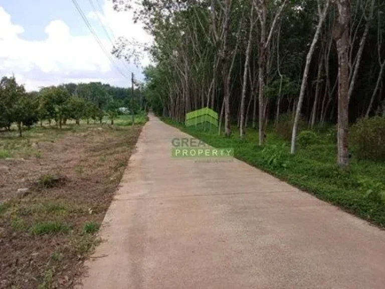 ขายด่วน ที่ดิน สวนยางพารา ทุ่งตำเสา หาดใหญ่ สงขลา เนื้อที่