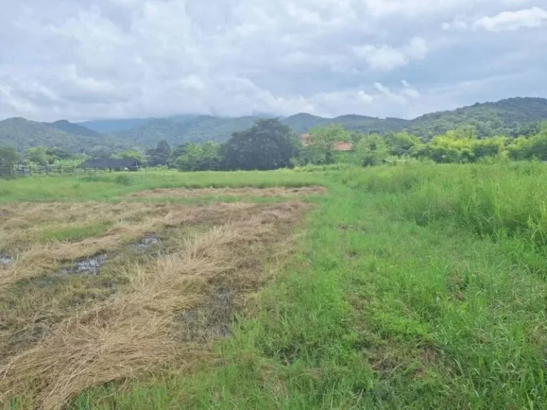 ขายที่ดินตำบลบ้านปงหางดงถนนลาดยางวิวดอยโฉนดพร้อมโอน