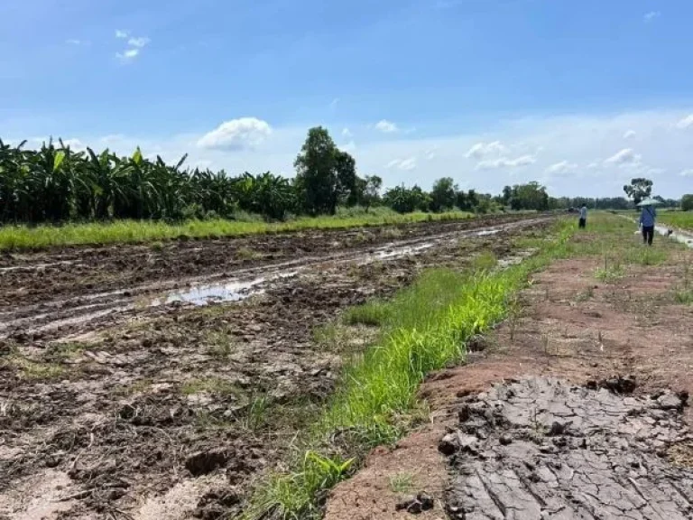 ที่ดินเงินผ่อน ที่ดินคลอง11 รพีพัฒน์ หนองเสือ ปทุมธานี