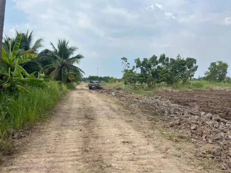 ที่ดินเงินผ่อน ที่ดินคลอง11 รพีพัฒน์ หนองเสือ ปทุมธานี