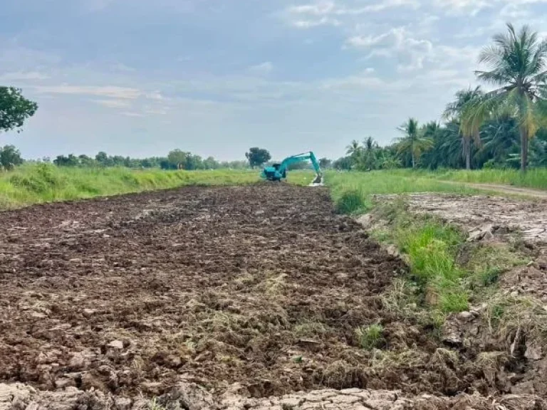 ที่ดินเงินผ่อน ที่ดินคลอง11 รพีพัฒน์ หนองเสือ ปทุมธานี