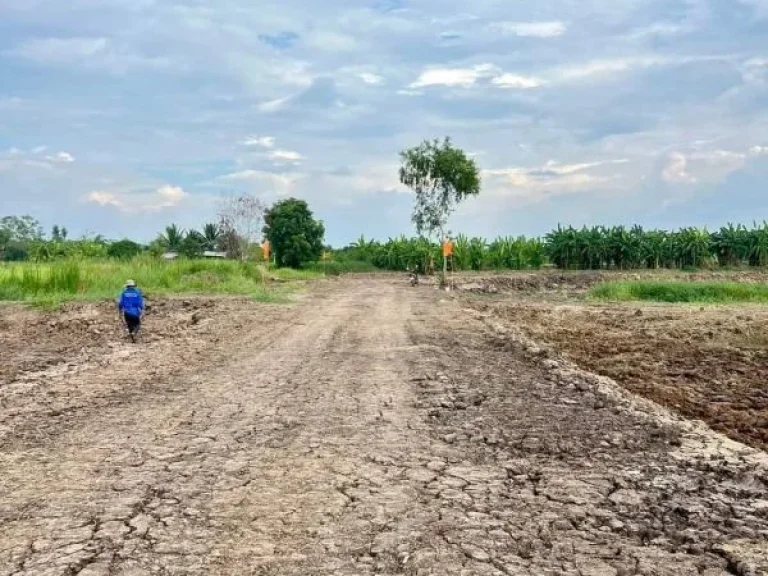 ที่ดินเงินผ่อน ที่ดินคลอง11 รพีพัฒน์ หนองเสือ ปทุมธานี