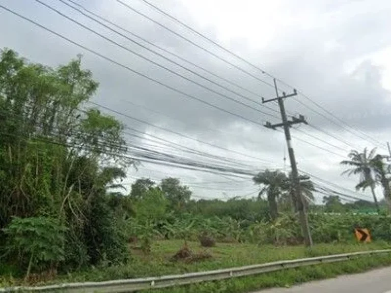 ขายที่ดิน 37 ไร่ อำเภอแกลง ระยอง ติดถนนสุขุมวิท 200 ม