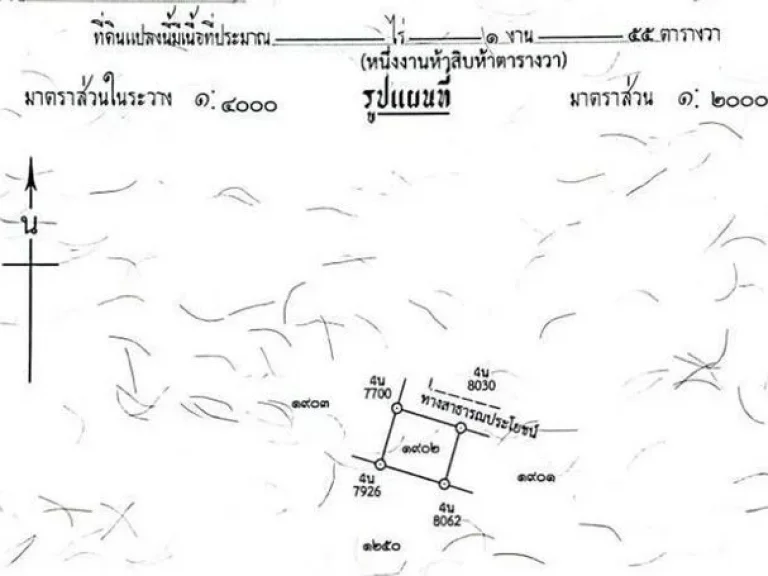 ขายที่ดินจัดสรร 155ตรว 980000บาท ฟรีโอน สาธารณูปโภคครบ