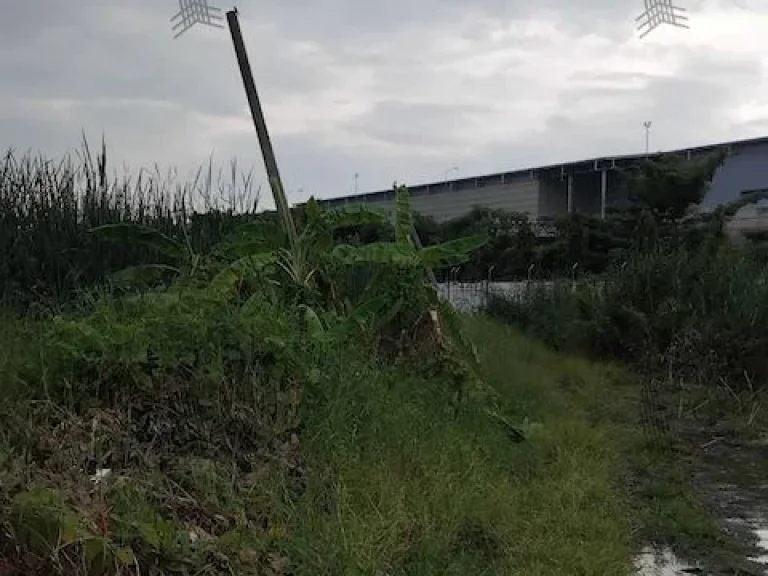 ที่ดินเปล่า ใกล้mrt คลองบางไผ่ เดินทางสะดวก ติดถนนหลายเส้น