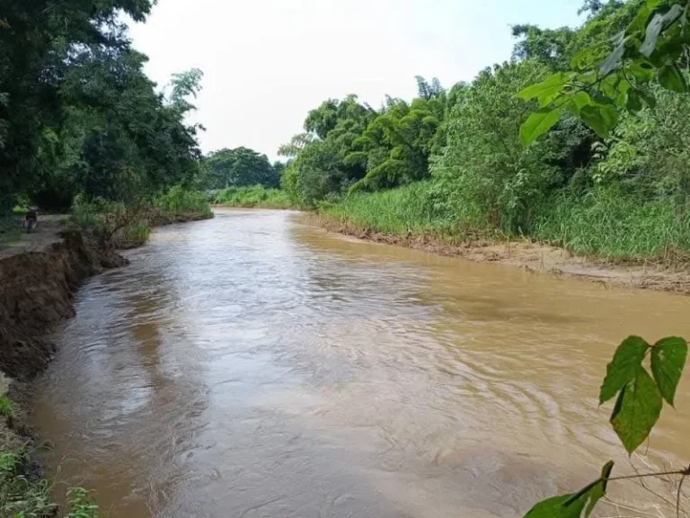 ขายที่ดินตำบลทุ่งข้าวพวงเชียงดาวติดแม่น้ำปิงโฉนดพร้อมโอน