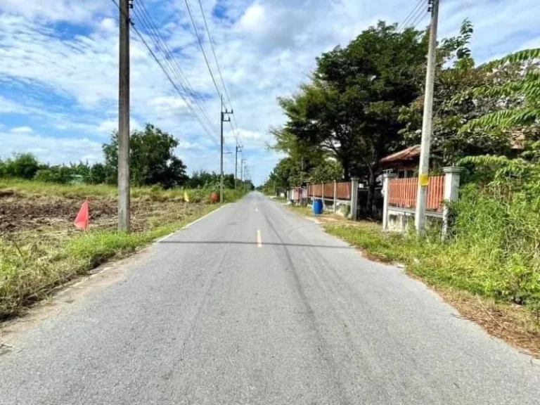 ที่ดินสวยทำเลดี 100 ตรวคลอง9 หนองเสือ ติดถนนลาดยาง ใกล้ชุมชน