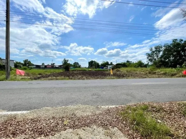 ที่ดินสวยทำเลดี 100 ตรวคลอง9 หนองเสือ ติดถนนลาดยาง ใกล้ชุมชน