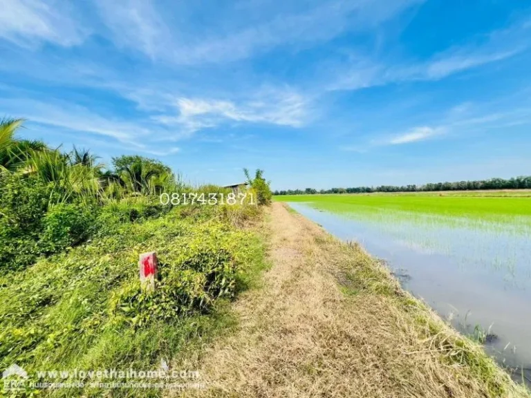 ขายที่ดิน แปลงมุม แถมบ้าน 1 หลัง หนองเสือ บึงกาสาม เนื้อที่