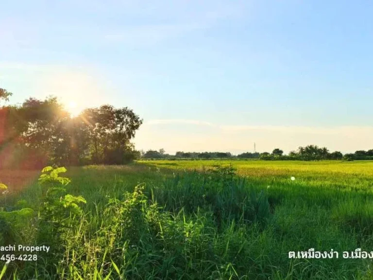 ขายที่ดิน ใกล้แยก รพลำพูน 15-1-314 ไร่ ติดถนน ทล1136