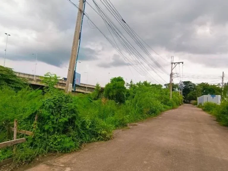 ที่ดินใหล้โรบินสัน ติดถนนคอนกรีตสาธารณะ แปลงมุม