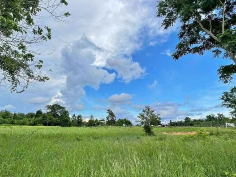 ขายที่ดิน 5 ไร่ ติดถนนดำ ทำเลดี ใกล้ราชภัฎชัยภูมิ500 เมตร