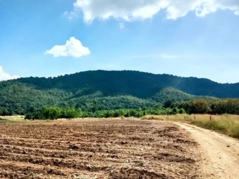 ที่ดินแปลงใหญ่ ขนาด 80 กว่าไร่ ขายถูก อุตรดิตถ์