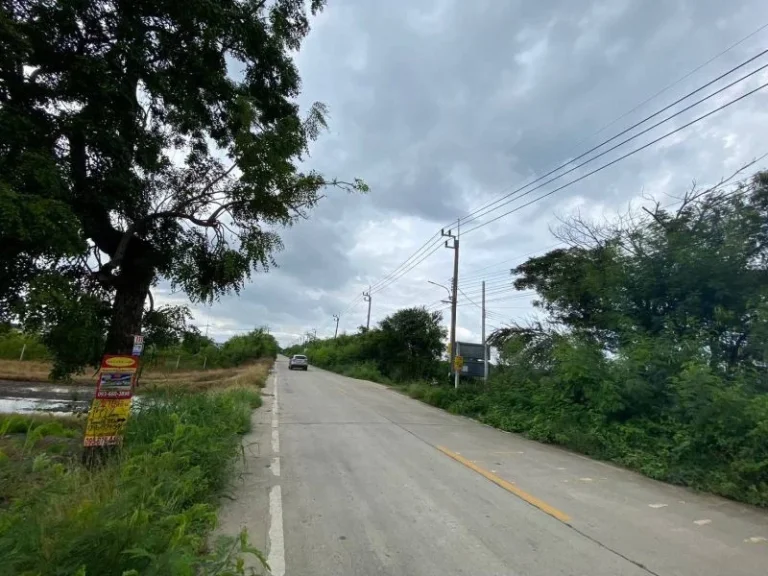 ที่ดินไทรใหญ่ ไทรน้อย นนทบุรี ติดถนนคอนกรีตสาธารณะ แปลงมุม