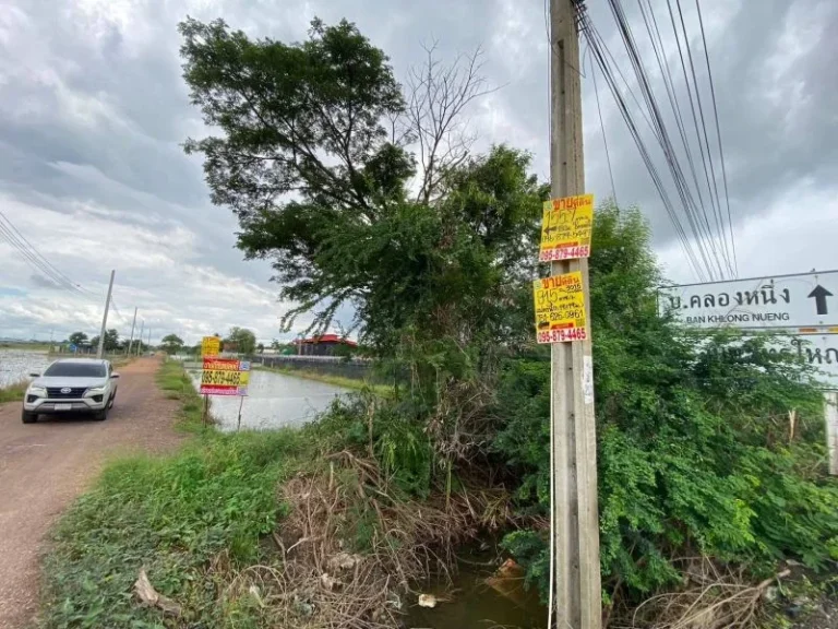 ที่ดินไทรใหญ่ ไทรน้อย นนทบุรี ติดถนนคอนกรีตสาธารณะ แปลงมุม