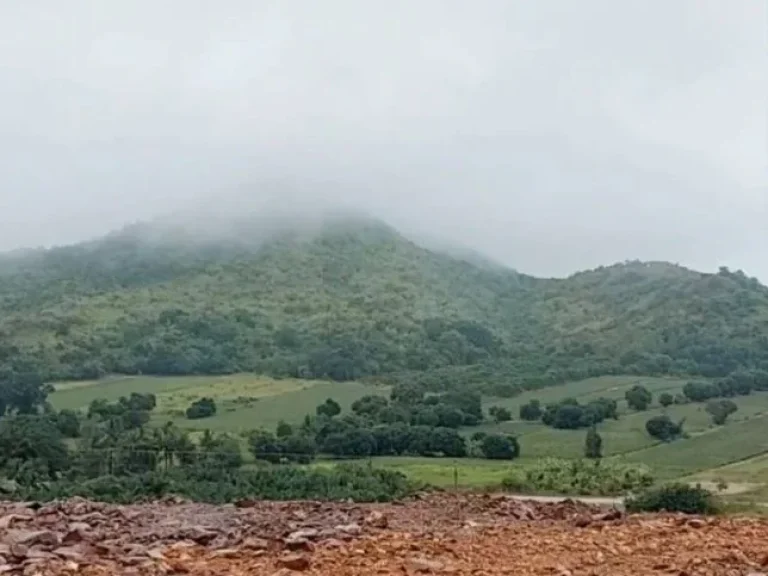 ขายที่ดินบนภูเขา เห็นทะเล วิวเขาล้อมรอบ โฉนดพร้อมโอน