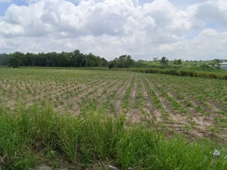 ที่ดินสีส้ม ขาย ให้เช่า ทำเลทอง ย่านสุรศักดิ์ ศรีราชา